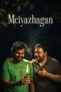 Meiyazhagan (2024) Hindi Dubbed Netflix